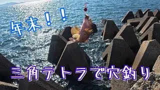 年末！三角テトラで穴釣り！