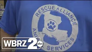 Rescue Alliance in need of donations for animal transport vehicle