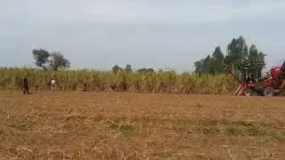 Mechanization in Sugarcane