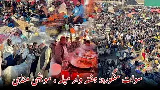 Swat Mingora: Weekly Fair, Livestock Market | Khyber Social Tv