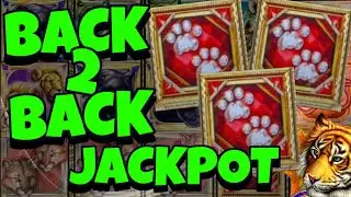 BACK 2 BACK RARE BONUSES! JACKPOT HAND PAY on CATS Slot Machine High Limit Live Play