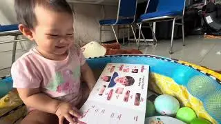 Eyin Bermain Sendiri 