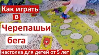 Let`s play Черепашьи бега - детская настольная игра / объясняем правила и играем