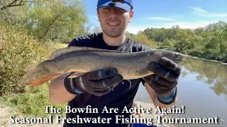 The Bowfin Are Active Once Again At The Marshes! - Seasonal Freshwater Fishing Tournament