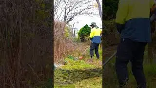 You Won't Believe This Garden Transformation! #cleanup #transformation #diy #asmr #lawncare #lawn