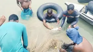 See how these people catch fish in the moving water #fishing #fishandfishing7