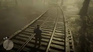 RDR2STREAM