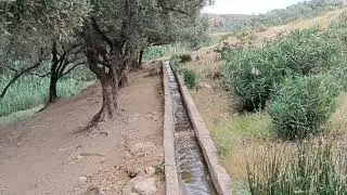 فيرما صغيرة رخيصه بها زيتون. لوز منطقه ديال ماء قريبة صفرو 0679444657