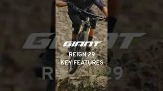REIGN 29 Key Features #Shorts