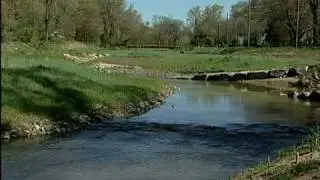 Little Sugar Creek.mov