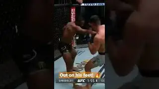 Vicente Luque Vs Tyron Woodley Highlight 🔥 #ufc #mma #shorts #ufcfightnight