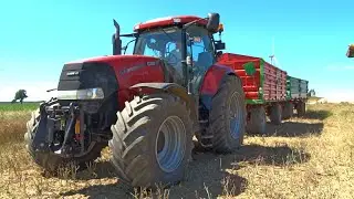 Case Puma 195 vs 20Ton Rzepaku ! Żniwa 2016