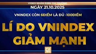 Chứng kho&aacute;n ng&agrave;y 21/10/2025: Vnindex giảm gần 100điểm - L&iacute; do khiến Vnindex giảm mạnh