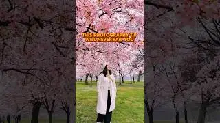 This photography tip will surely never fail you. #sakura #cherryblossoms #Photography101 #spring