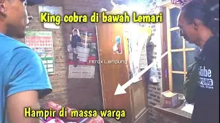 Masuk Kamar, King Cobra Ditemukan di Rumah Warga,  🐍👀