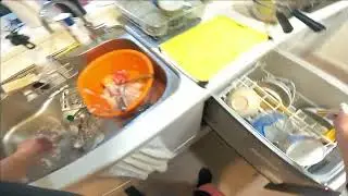 今日の食器洗い Vol 87 #52ヘルツのくじらたち を読んだって話