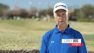 Гольф-свинг в одной плоскости &mdash; отзыв студента &mdash; CAREY