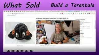 What Sold on eBay, Facebook Marketplace and Bonanza. Reseller Shows What She Sold to Pay the Bills