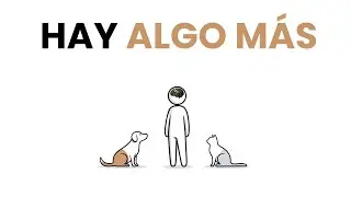 Si Prefieres la Compañía de Gatos o Perros, la Psicología Explica Por Qué
