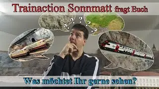 Trainaction Sonnmatt fragt Euch - Was m&ouml;chtet Ihr sehen ? Vorschl&auml;ge f&uuml;r k&uuml;nftige Themen.