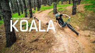 DEITY: Koala featuring Shelly Flood