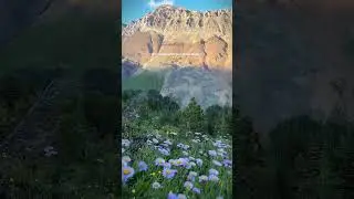We Can Almost Smell The Wildflowers! 🌹🌷🌻🌼