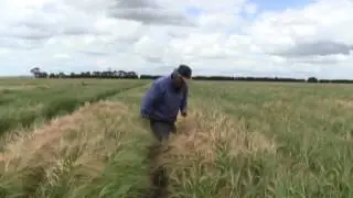 Over the Fence: Raised beds boost crops in Victoria's high rainfall zone - Jan 2012