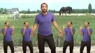 Straightness Training (In Horses)