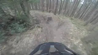 Wharncliffe woods   (wharncouver)