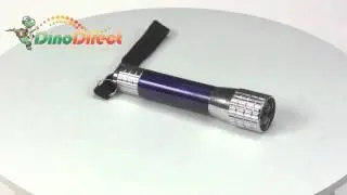 Super Bright 5 LED 1 W Flashlight Torch(1 x AAA Battery)  from Dinodirect.com