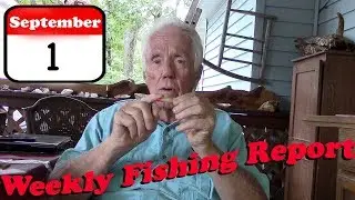 Weekly Fishing Report - September 1st