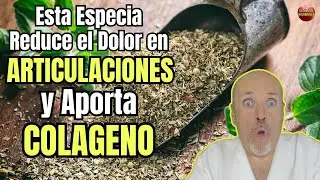 😱 ESTA ESPECIA REDUCE EL DOLOR EN LAS ARTICULACIONES Y APORTA COLAGENO 😱