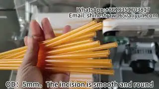 Plastic Edible Drink Straw Maker Machine，cheap price plastic straw making machine