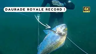 Je p&ecirc;che un poisson record en Bretagne ! Chasse sous marine Bretagne sud