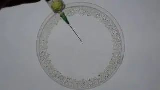 Marangoni effect