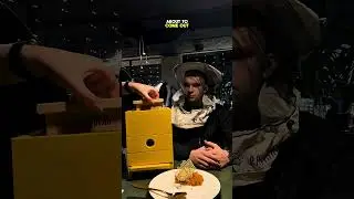Пчёлы или сюрприз в виде торта?