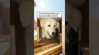 Confusing Photos You Have To Look At Twice