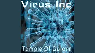 Temple of Colours