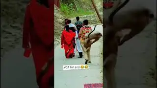 korangu settai #killerboys wait#for#end#😃😄😃trendin#(720).mp4