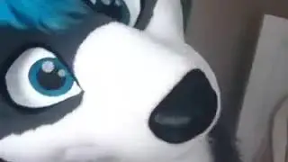 Cosmic Wuffy Vine Complaition | First Real Video | Furry Vines
