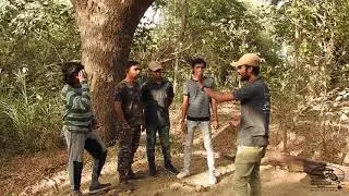 NCS   Holi