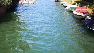 Live je chill fortnite puis decale Roblox donne des robux jofre tapis
