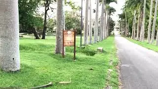 Codrington College In St. John Barbados (With Duck Pond)🇧🇧