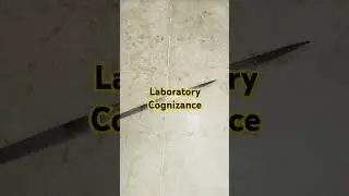 #LaboratoryTools #Sciencetool #DissectingTool #LaboratoryWork #ResearchTools #lab #laboratory