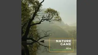Nature Game