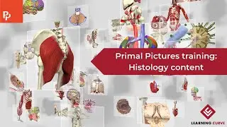 Histology/microanatomy content on Primal Pictures