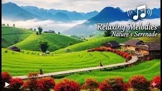 Nature's Embrace &mdash; Serene Scenery & Calming Music For Deep Peace