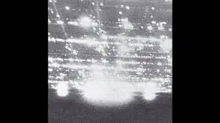 Yellow Swans - Being There