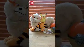Super limited plush from Pokemon Center Okinawa🌊 Arcanine & Pikachu🔥⚡