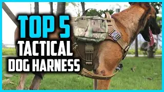 ✅Top 5 Best Tactical Dog Harness For Hiking of 2025